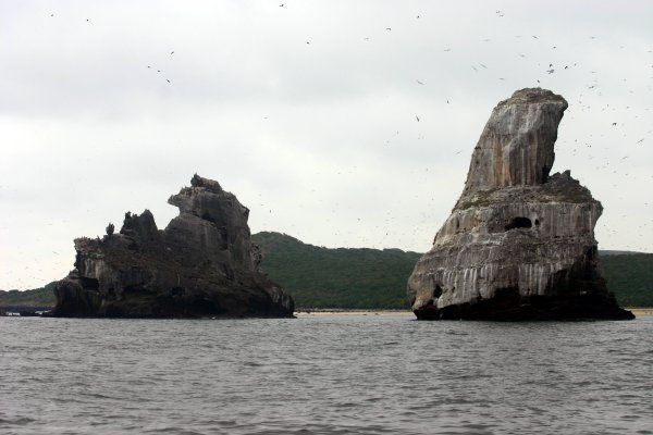 Dramatic spires off Isla Isabella